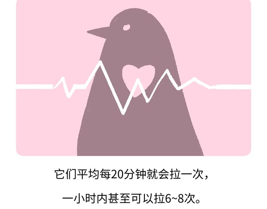 《胖达x胖达》第274话 第20页
