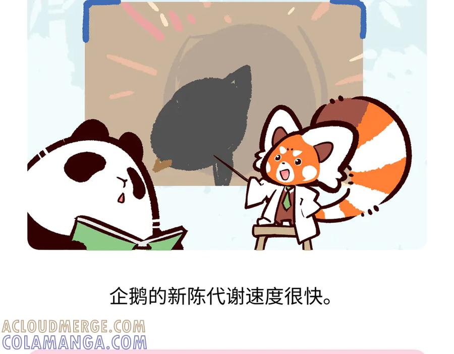 《胖达x胖达》第274话 第19页