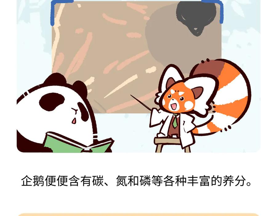 《胖达x胖达》第274话 第26页