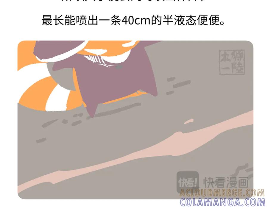 《胖达x胖达》第274话 第23页