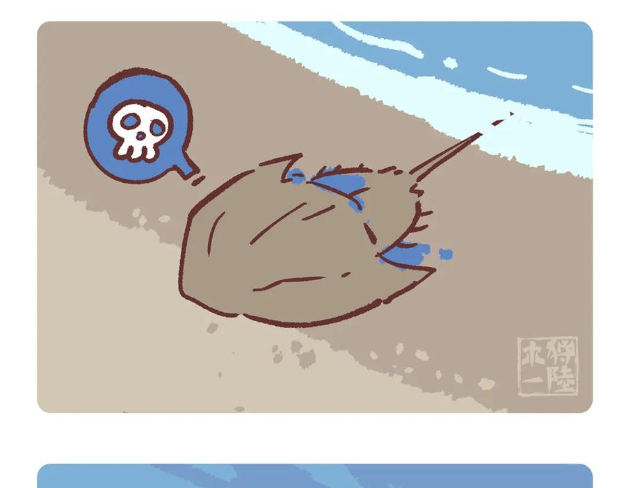 《胖达x胖达》第280话 第4页
