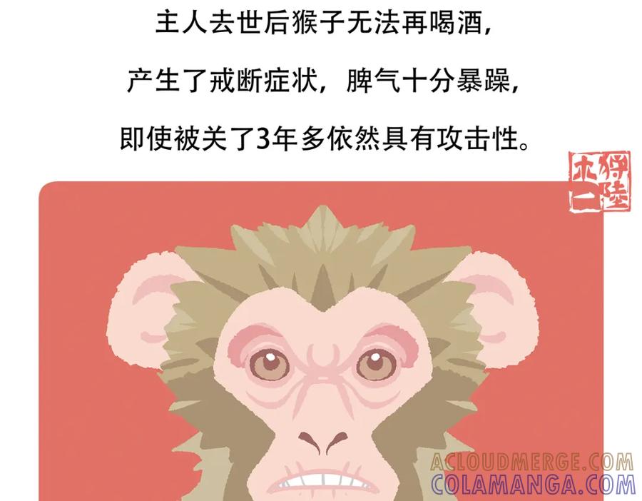 《胖达x胖达》第66话 第31页