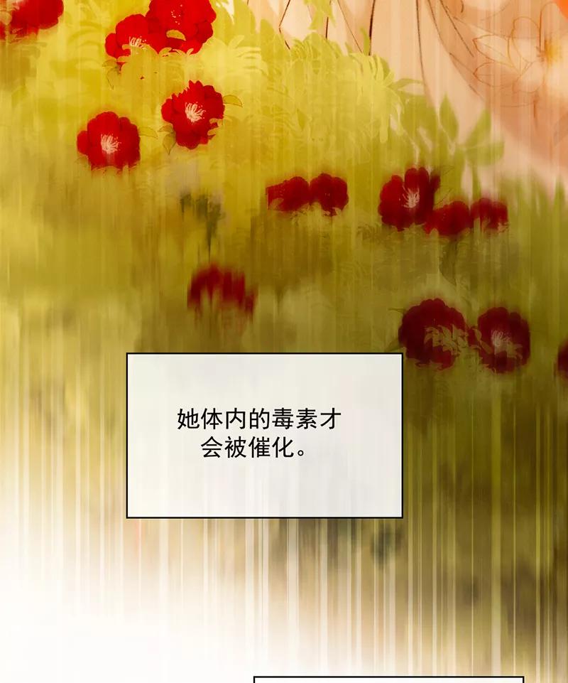 《炮灰今天也胜利了》第15话 第8页