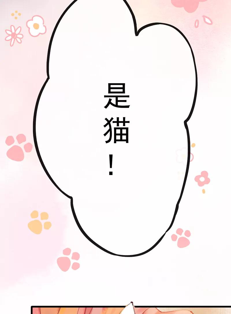 《炮灰今天也胜利了》第4话 第33页