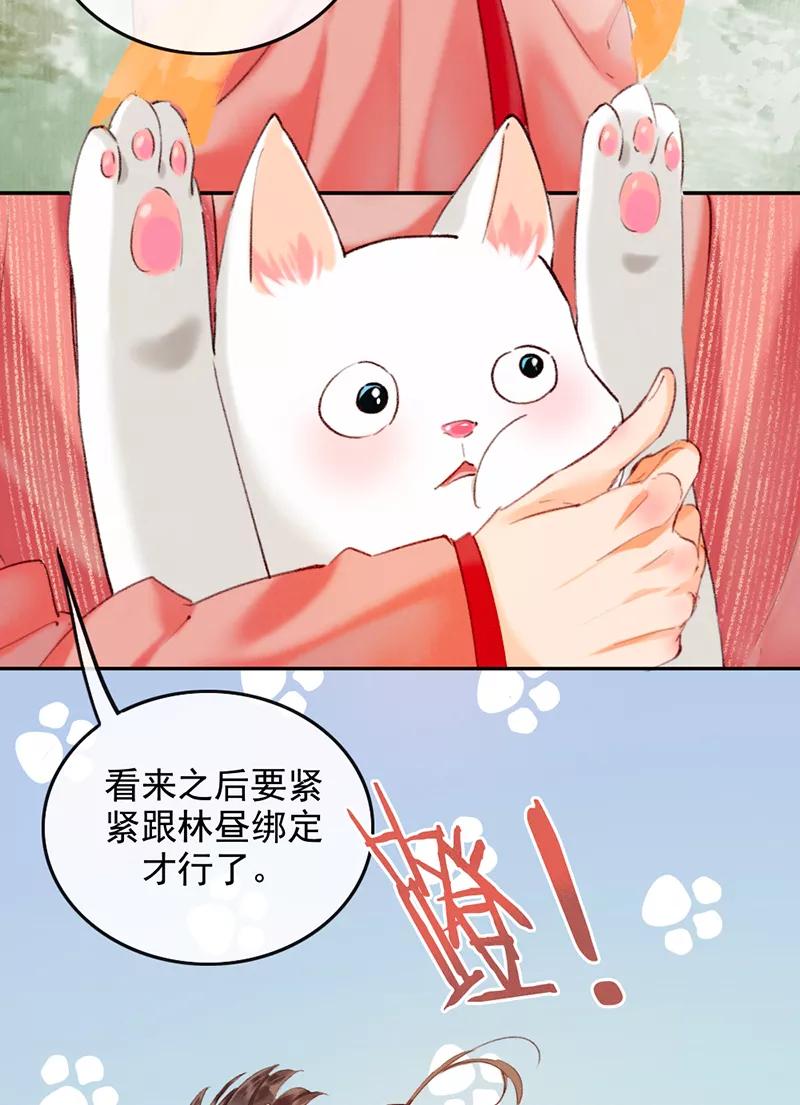 《炮灰今天也胜利了》第8话 第24页