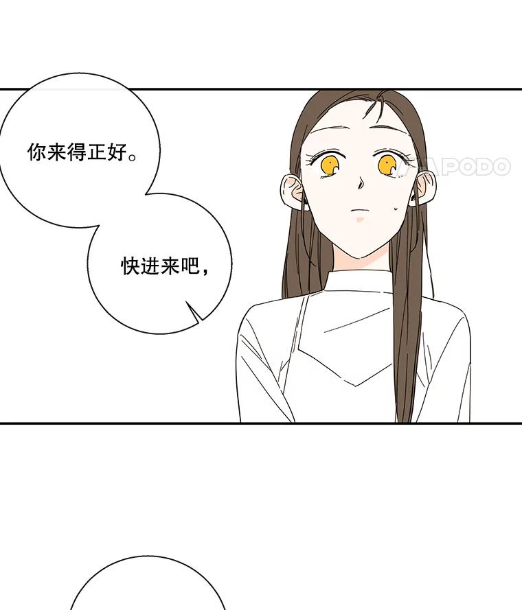《追逐光的爱恋》43.恋爱经历 第36页