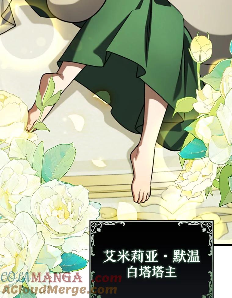 《噬龙魔法师》60.白塔塔主 第161页