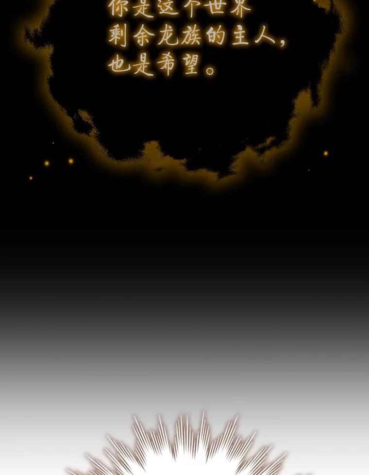 《噬龙魔法师》60.白塔塔主 第108页