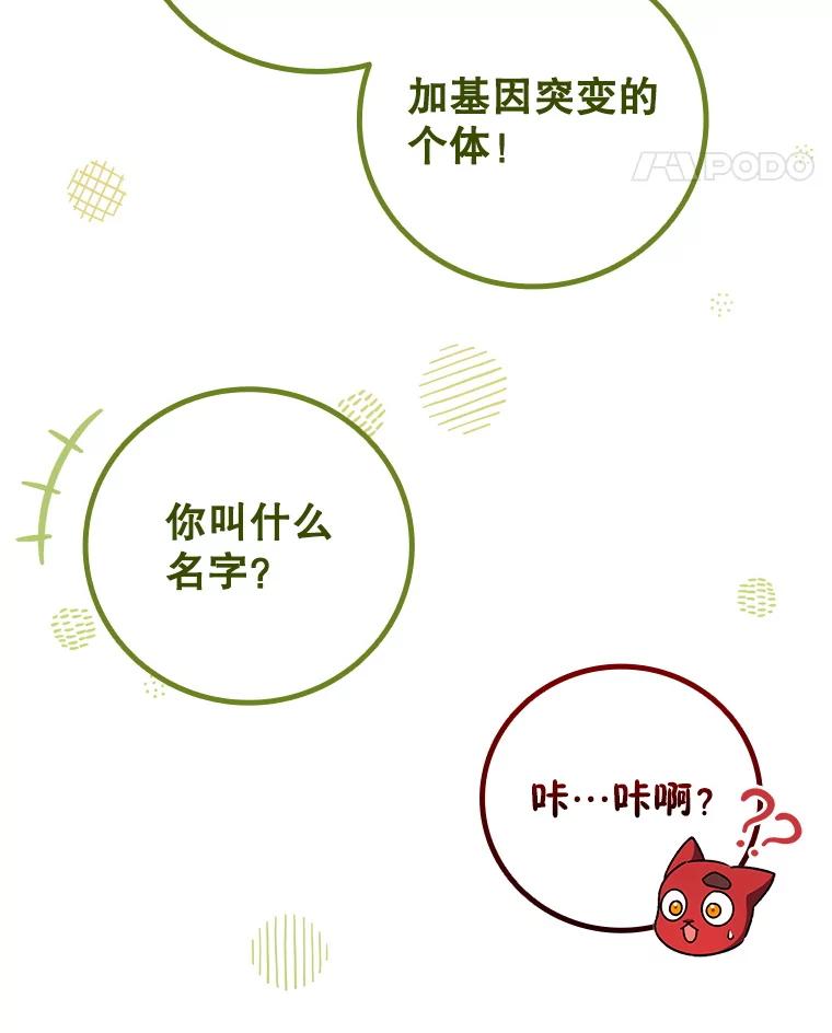 《噬龙魔法师》61.寻找入口 第31页