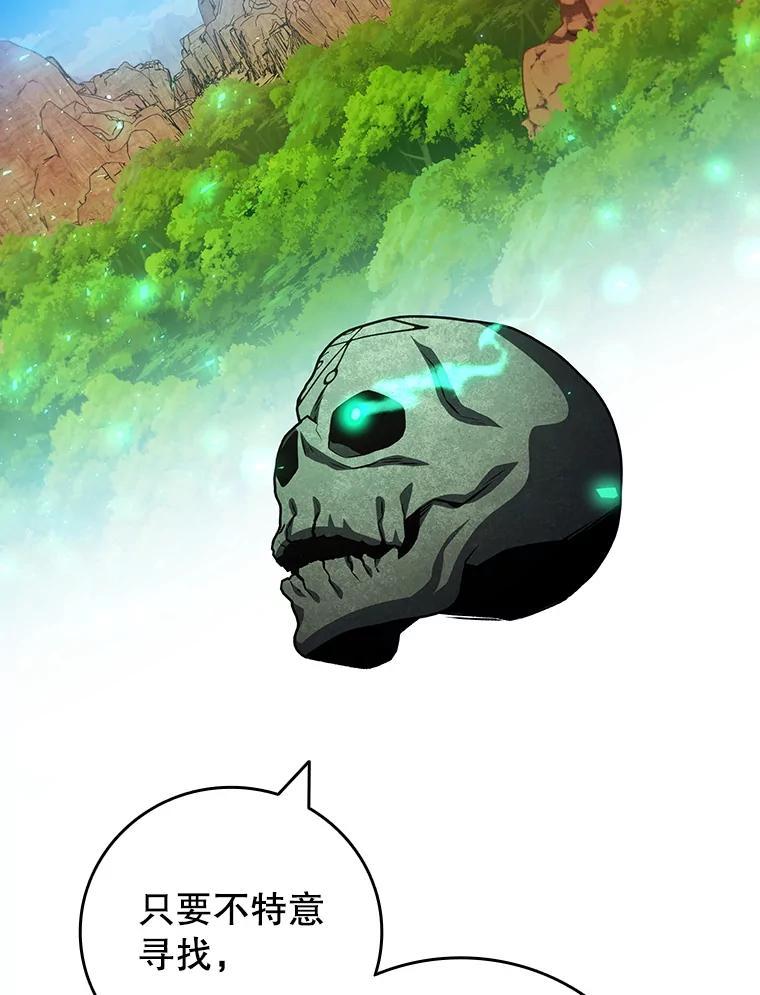 《噬龙魔法师》61.寻找入口 第66页