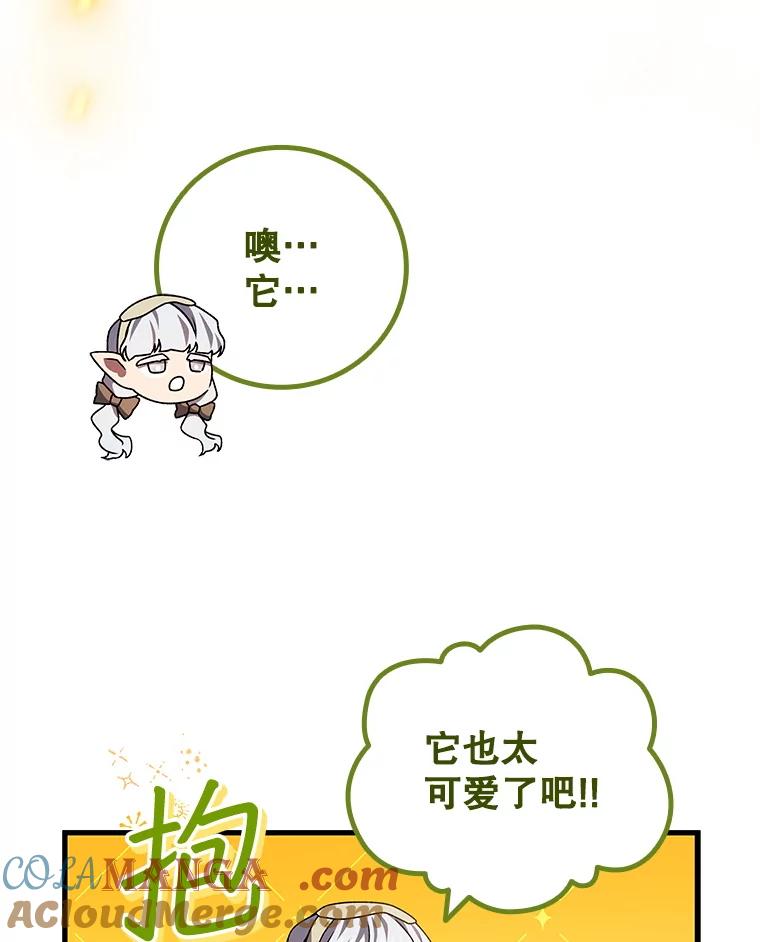 《噬龙魔法师》61.寻找入口 第29页