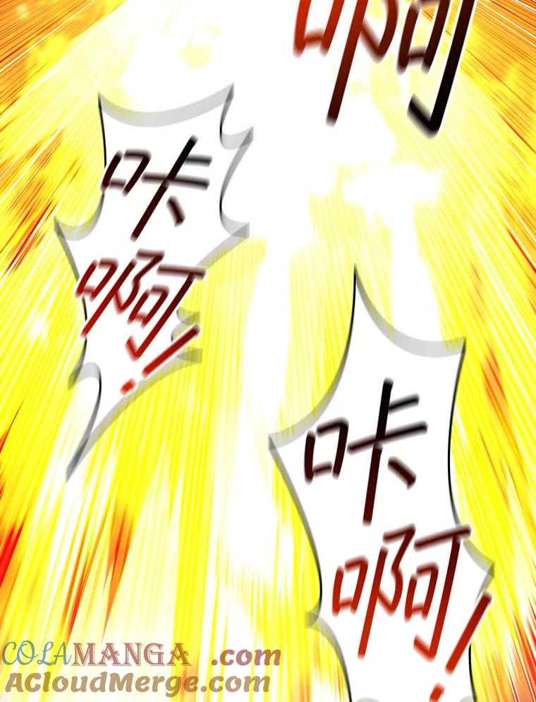 《噬龙魔法师》61.寻找入口 第121页