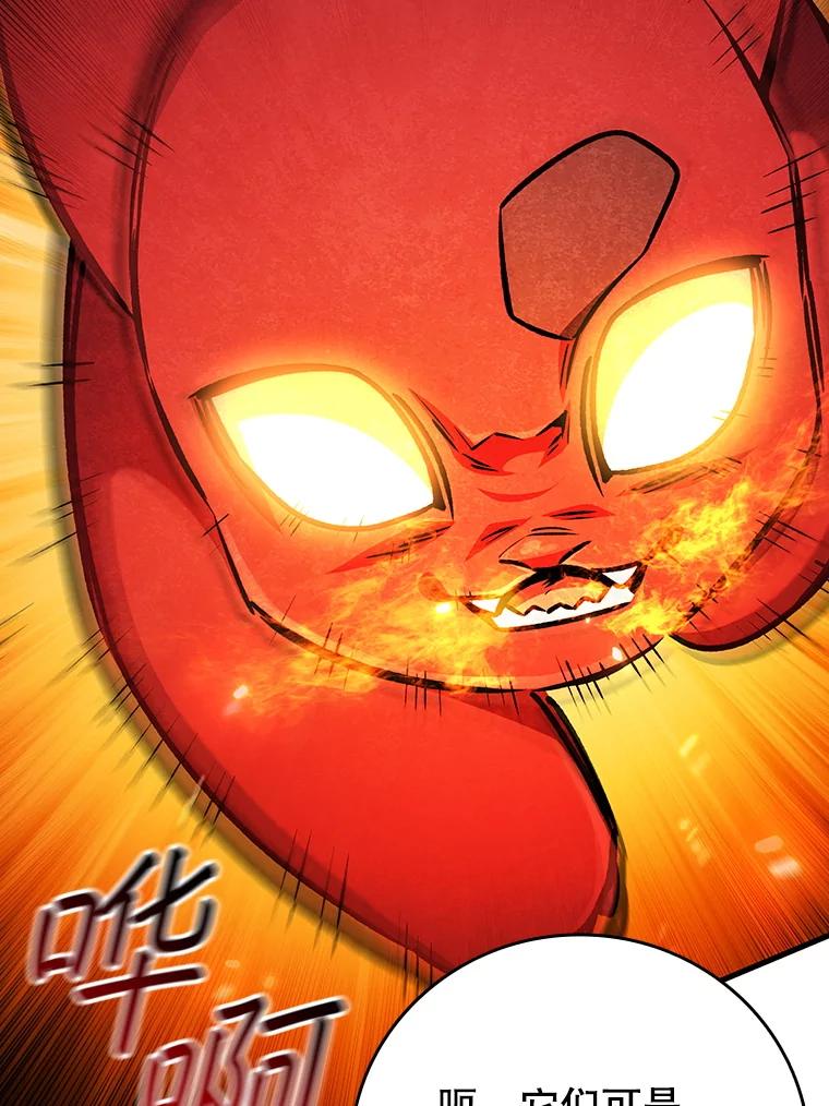 《噬龙魔法师》61.寻找入口 第114页