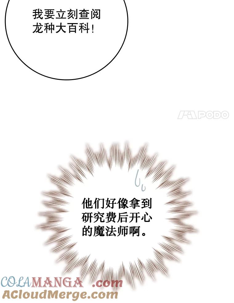《噬龙魔法师》64.突破 第21页