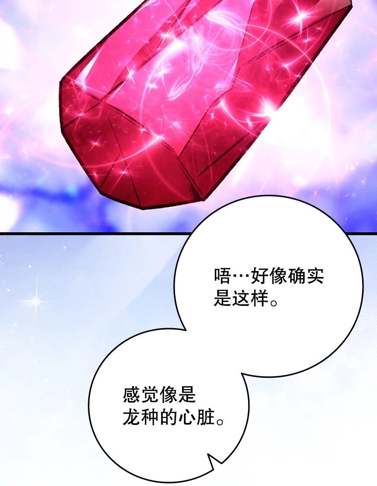 《噬龙魔法师》64.突破 第12页