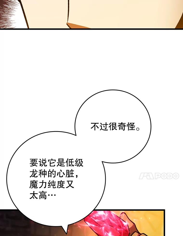 《噬龙魔法师》64.突破 第14页