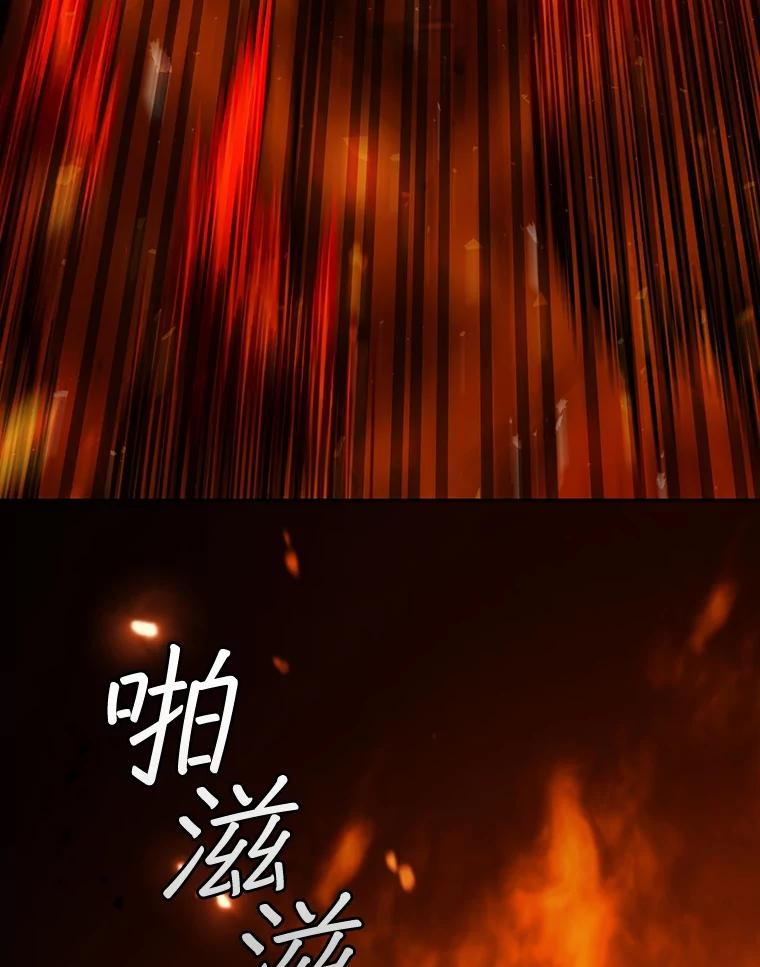 《噬龙魔法师》65.回应 第96页