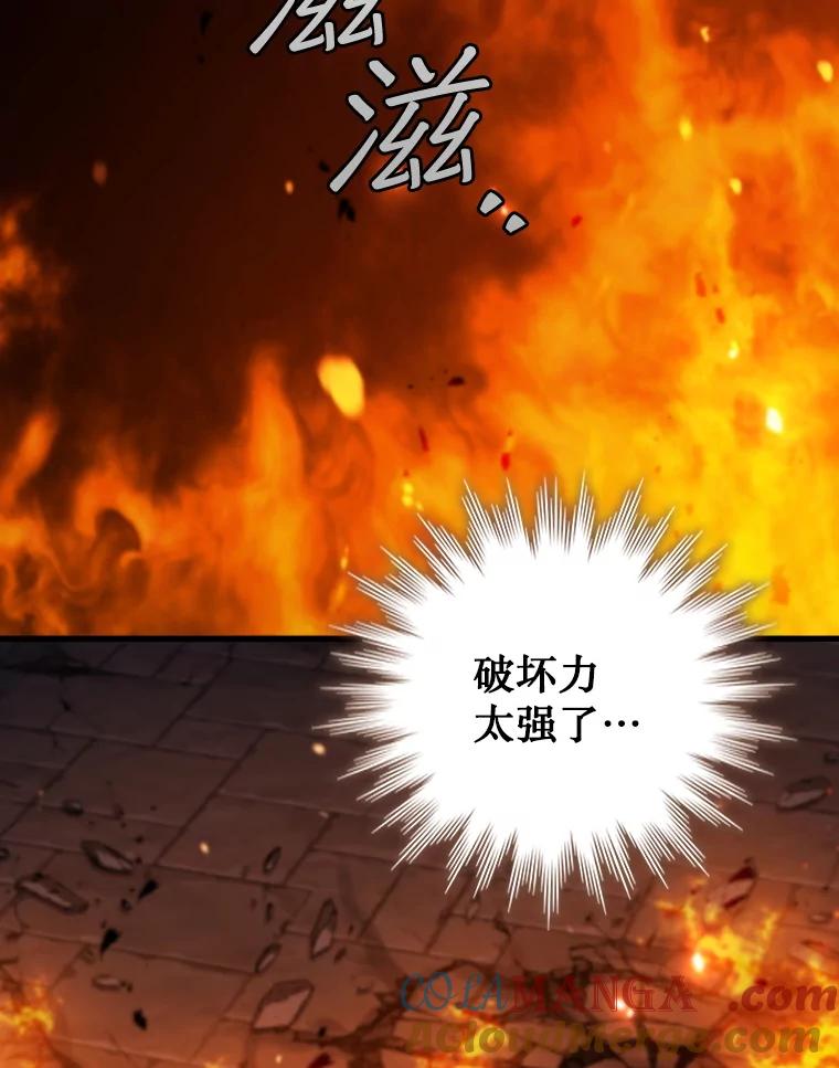 《噬龙魔法师》65.回应 第97页