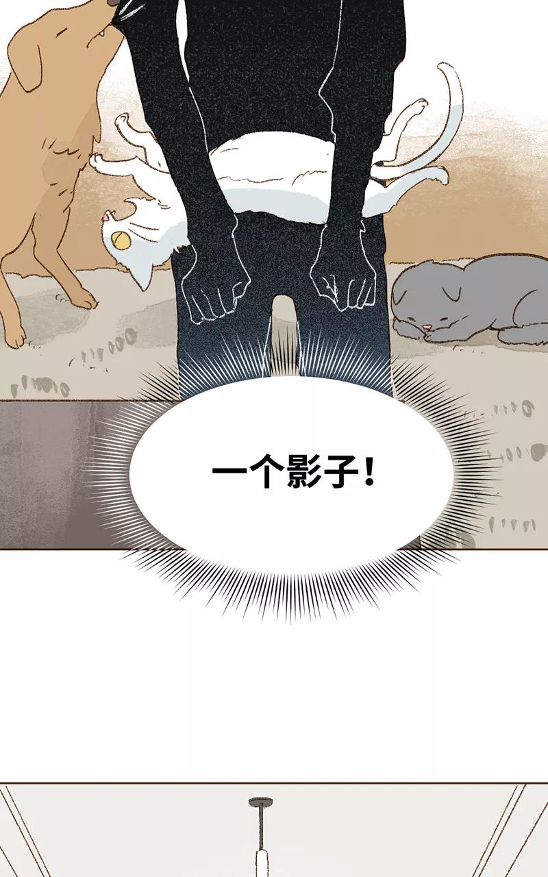 《怪奇爱情故事》第三章 我捡到一个影子（1） 第8页