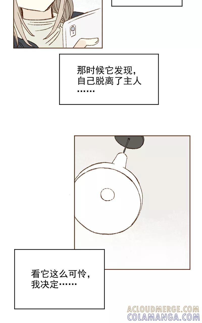 《怪奇爱情故事》第三章 我捡到一个影子（1） 第19页