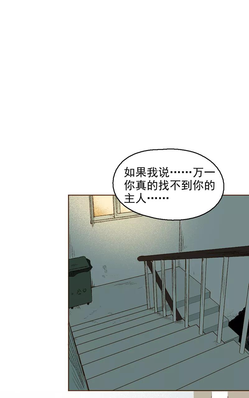 《怪奇爱情故事》第三章 我捡到一个影子（2） 第11页