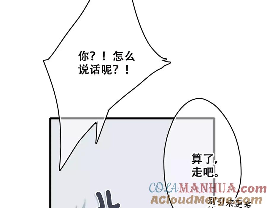 113.jpg