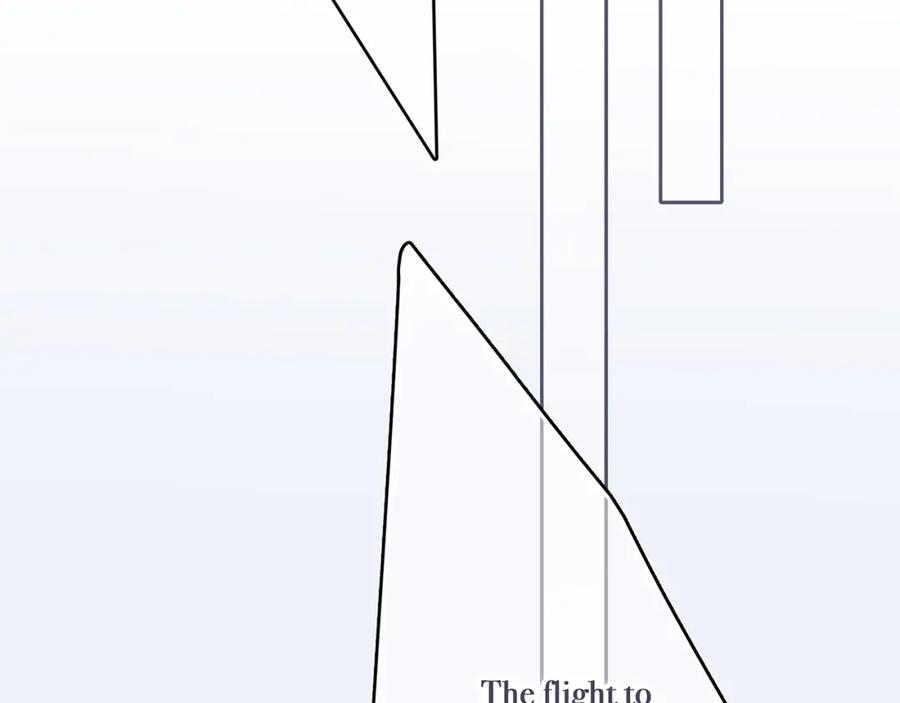 81.jpg