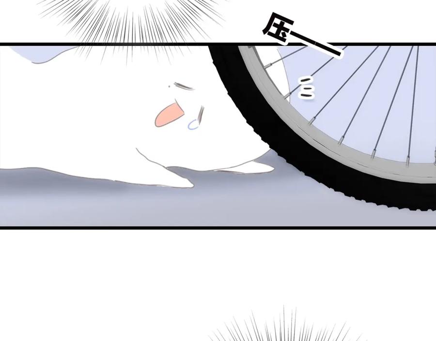 83.jpg