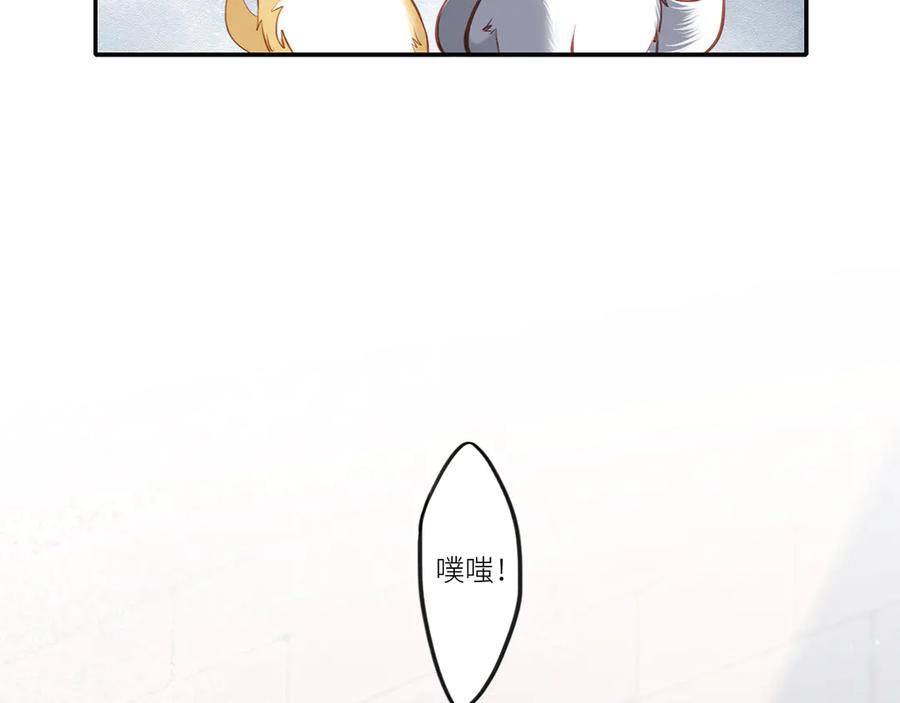119.jpg