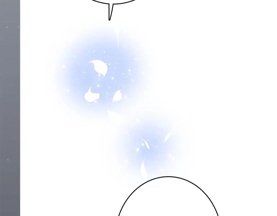 116.jpg