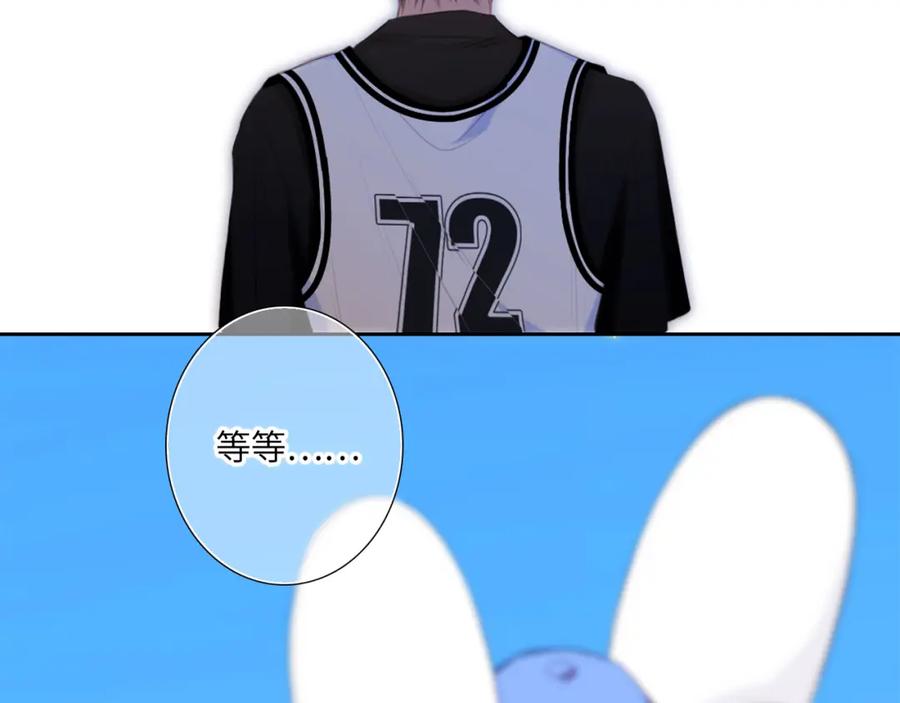 242.jpg
