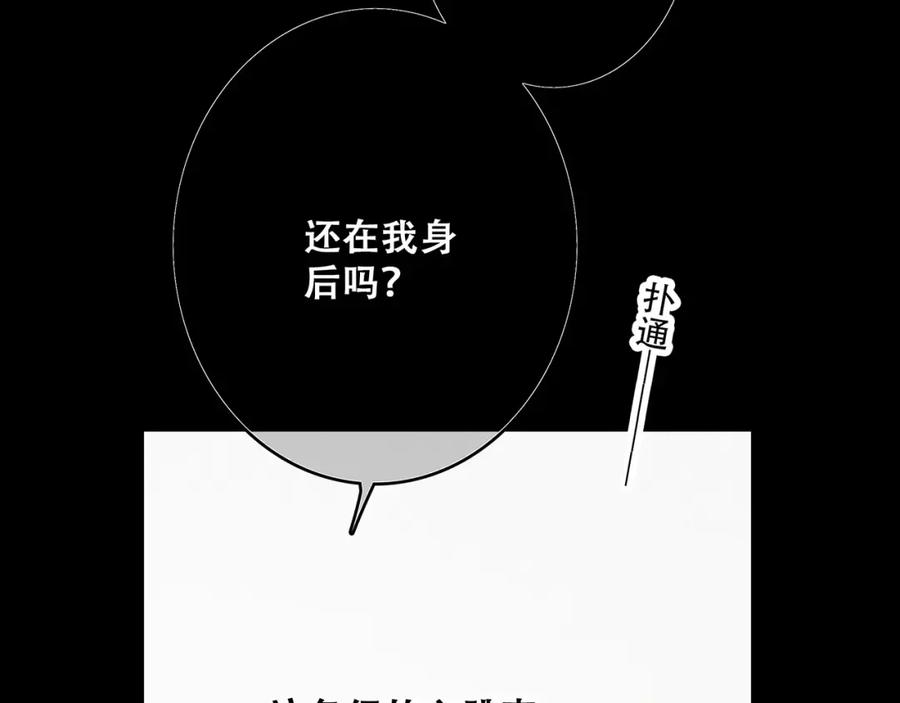 95.jpg