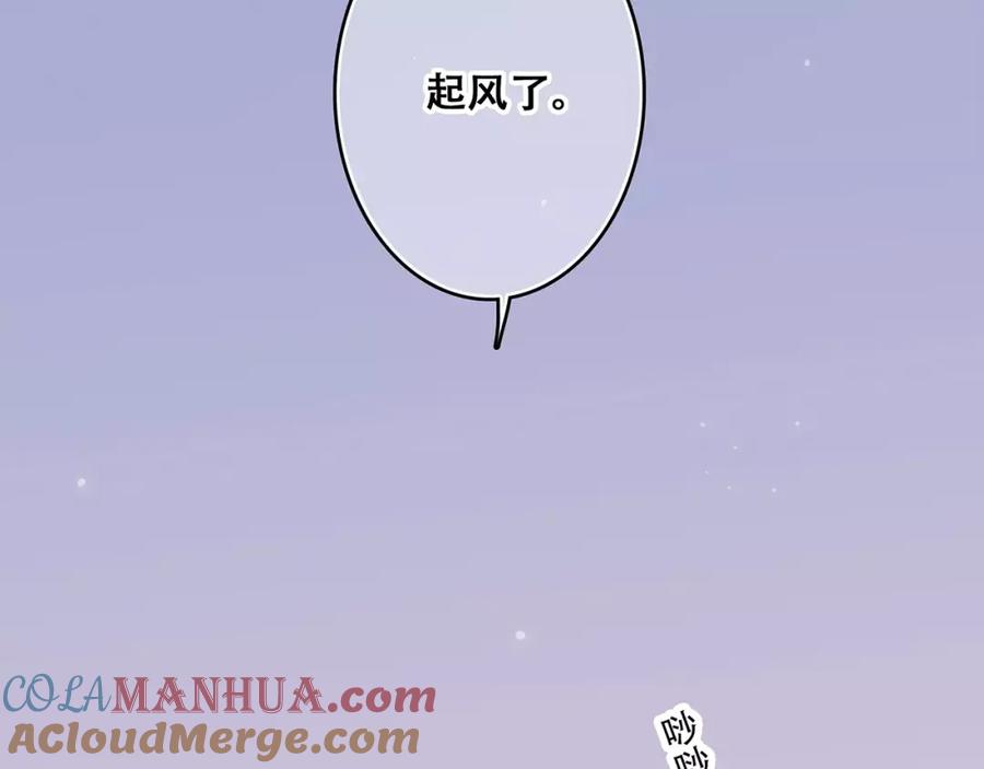 161.jpg