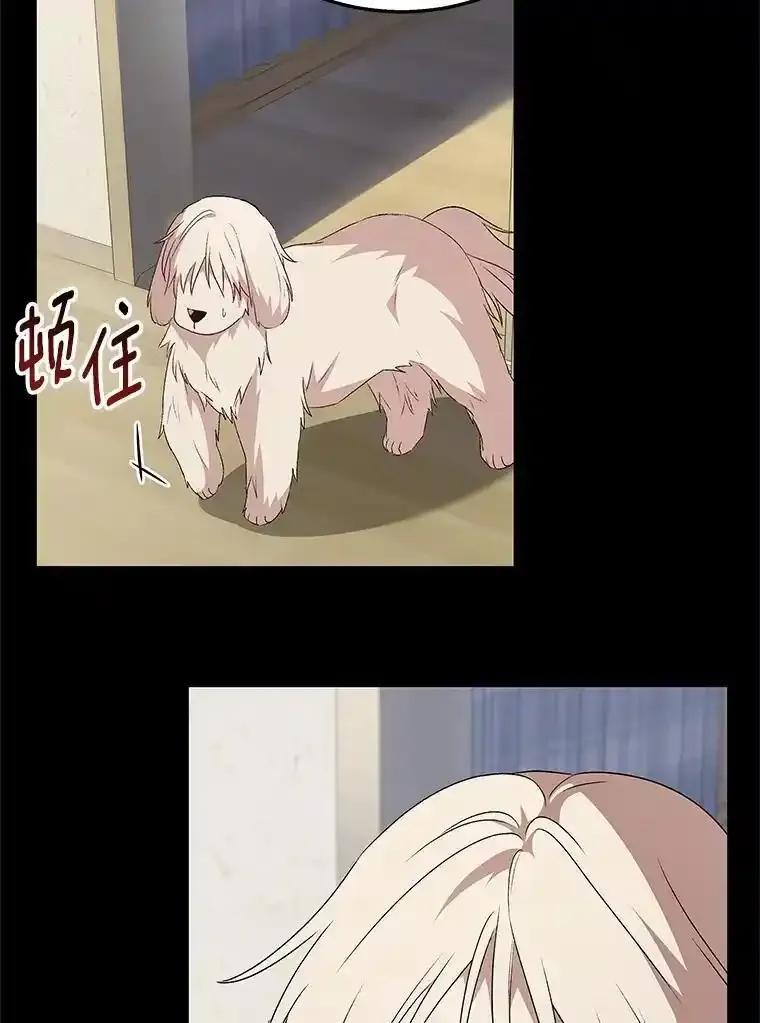 《你好？兽医先生！》59.我们回家吧 第23页