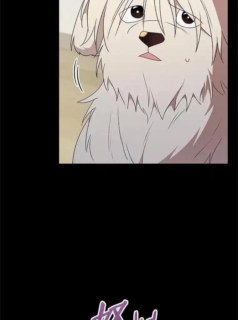 《你好？兽医先生！》59.我们回家吧 第24页