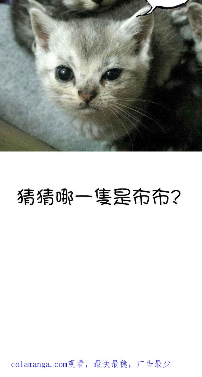 猫剑客 [第99话] 折翼天使 肆拾贰，一闪 第45页