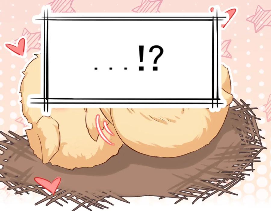 《偏见》第71话 别管她，先管我 ! 第76页