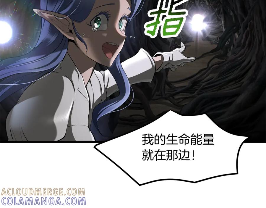 213.jpg