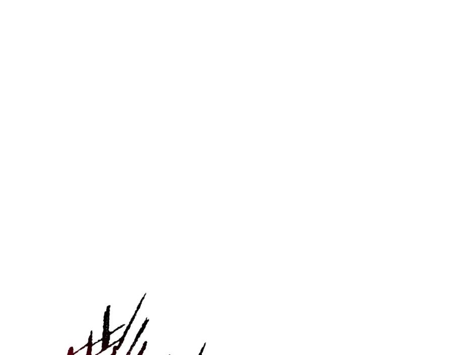 242.jpg