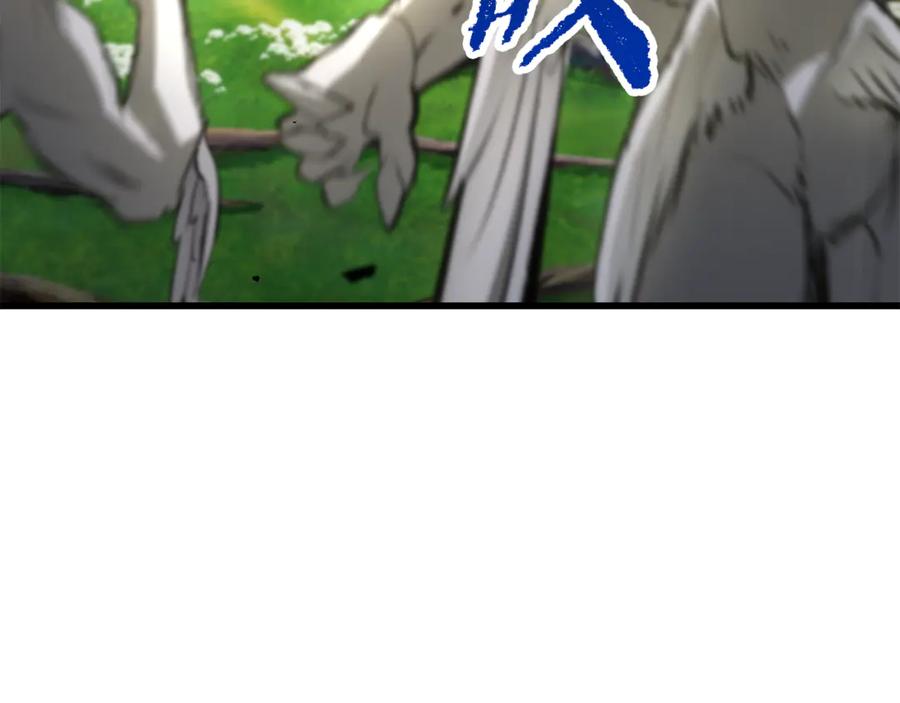 230.jpg