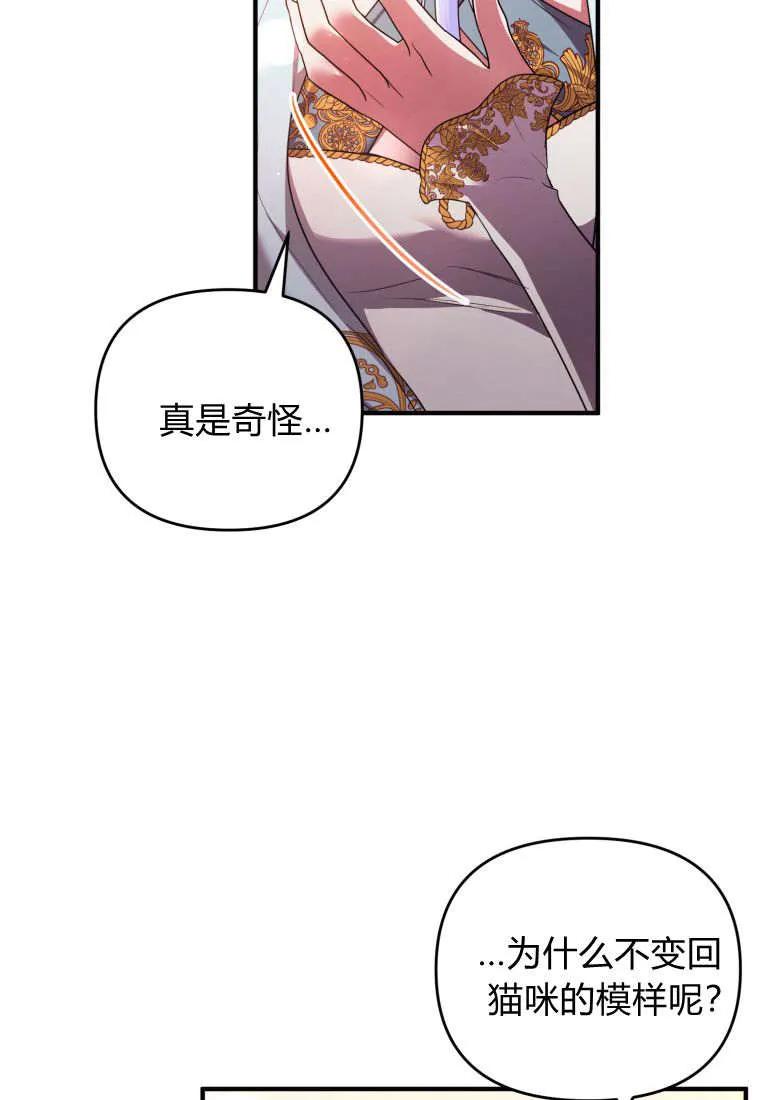 成为苏尔坦珍爱的猫咪 第54话 第53页