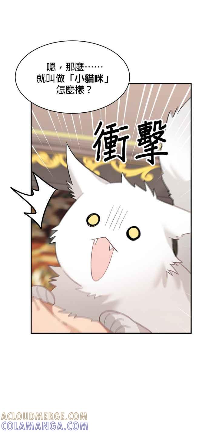 《皇妃？皇妃殿下！》第127话 第37页