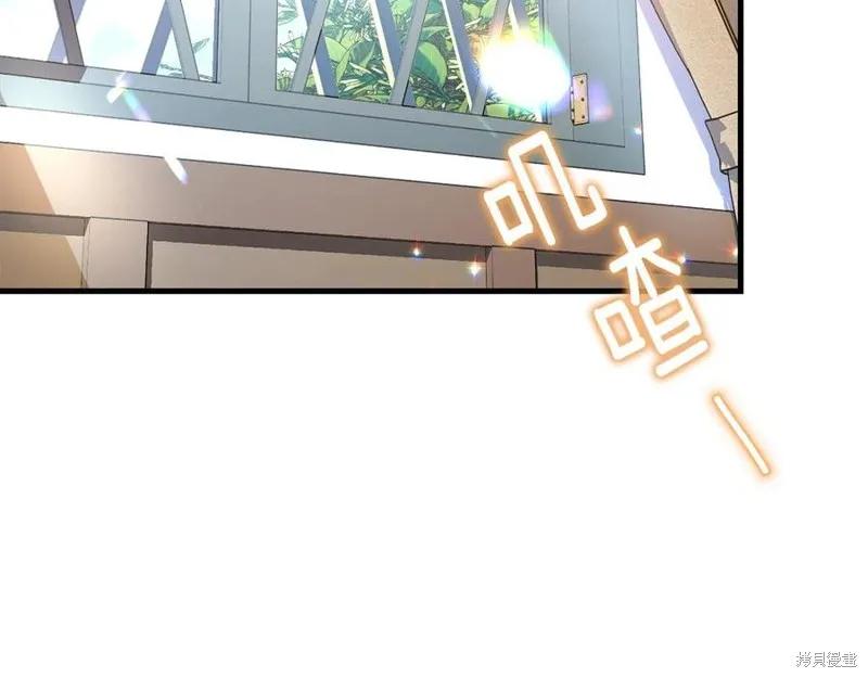 《明明是冷美人小姐却变成了忠犬大少爷》第76话 第2页
