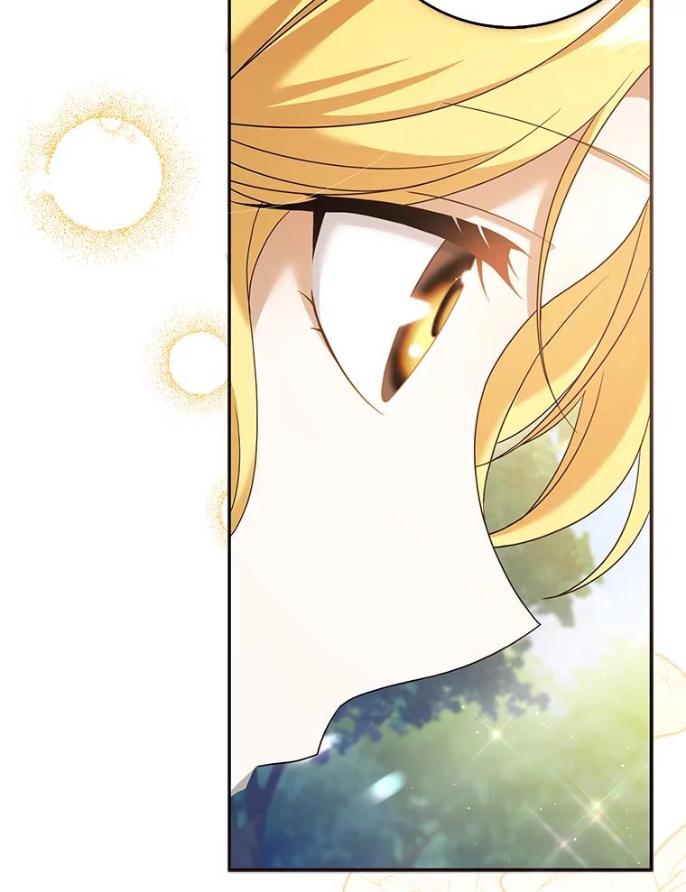 《消失的灰姑娘》38.曾经恐惧的一切 第46页