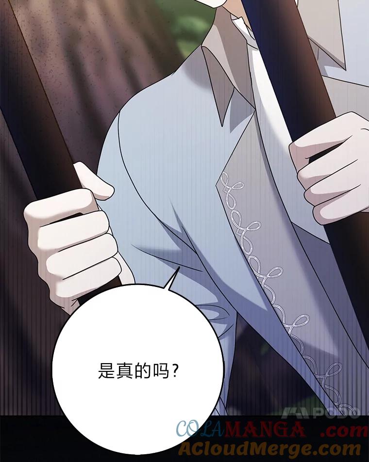 《消失的灰姑娘》38.曾经恐惧的一切 第101页