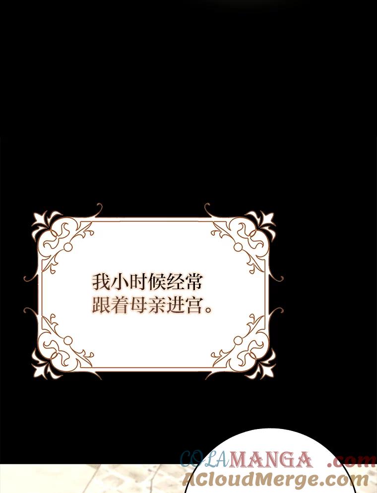 《消失的灰姑娘》41.童年记忆 第81页