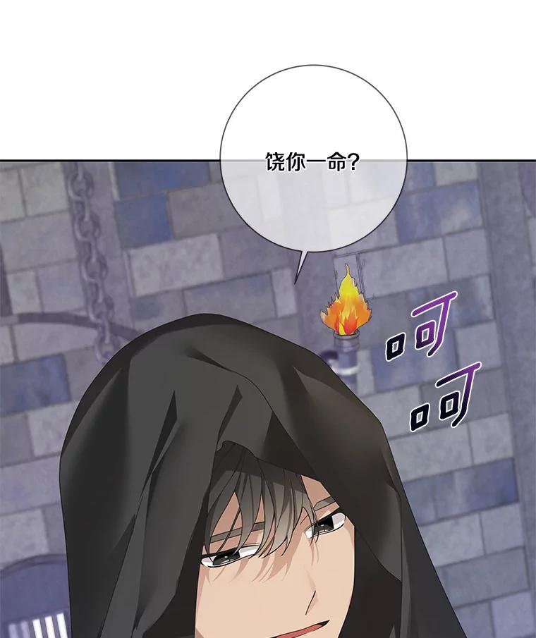 《龙套大公子妃的花路人生》42.绑架 第74页
