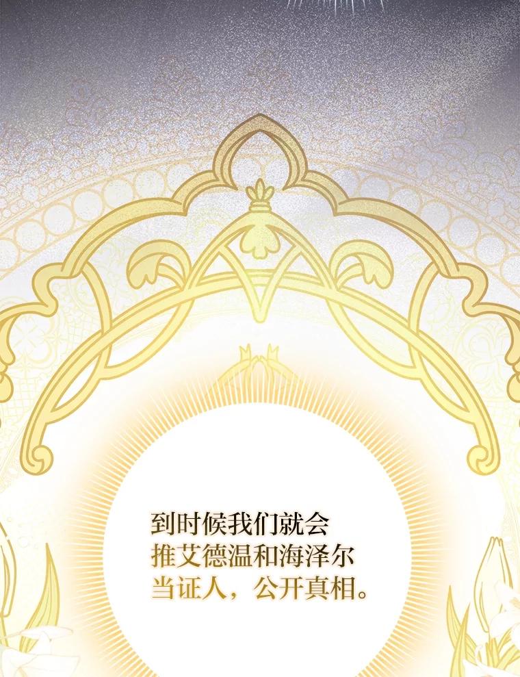 《消失的灰姑娘》42.二皇子的威胁 第19页