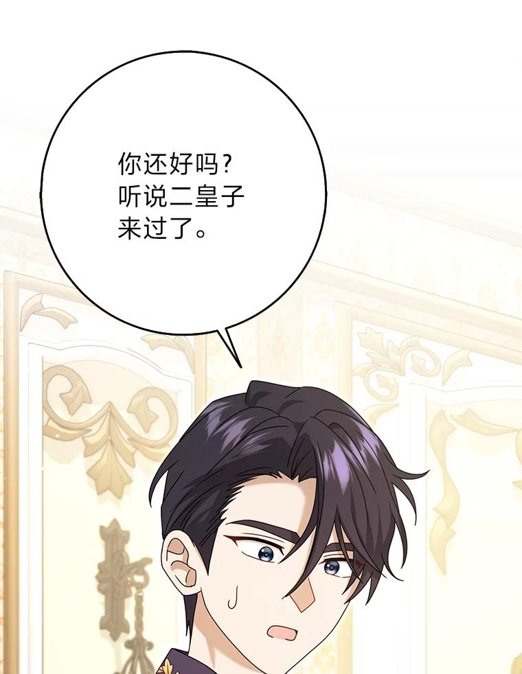 《消失的灰姑娘》42.二皇子的威胁 第52页