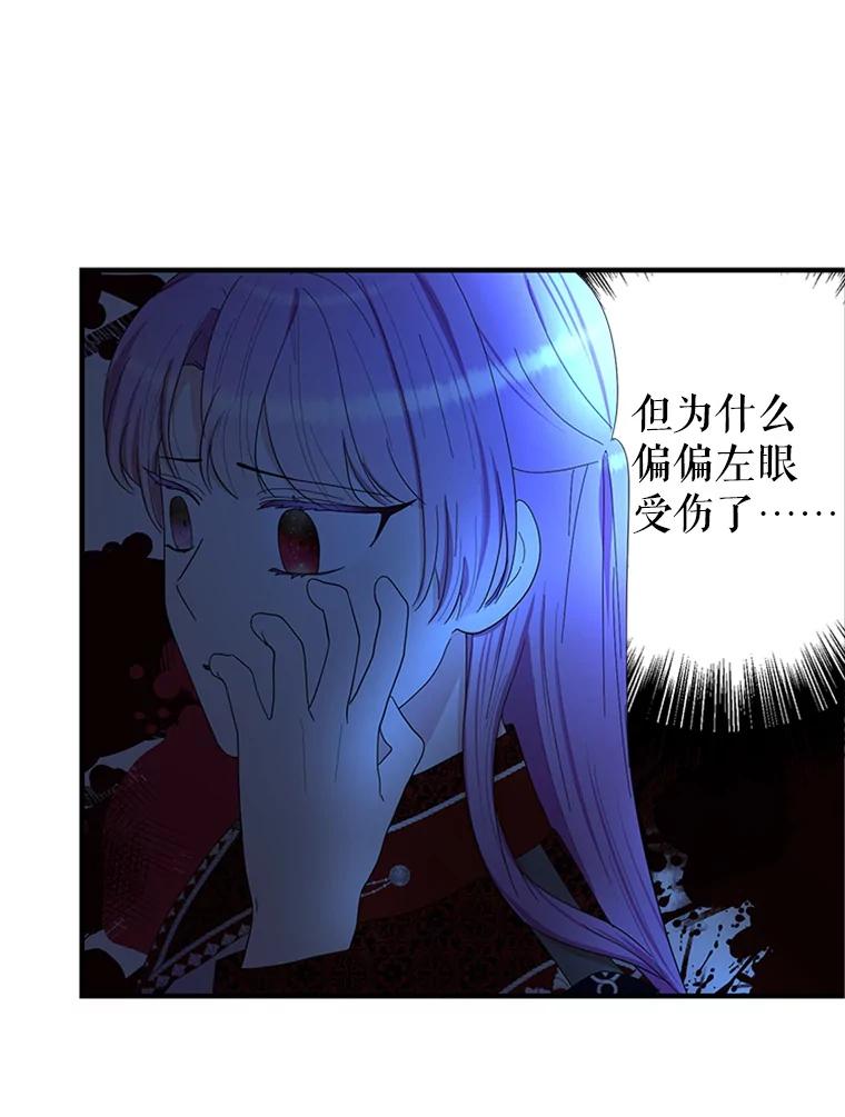 《反派也是万人迷》49.神秘的左眼 第66页